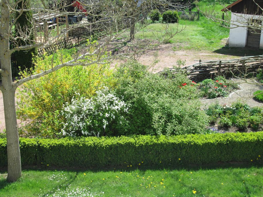 אולינגן בירקנדורף Gasthaus Kreuz חדר תמונה